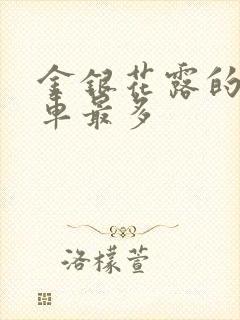 金银花露的哪个车最多