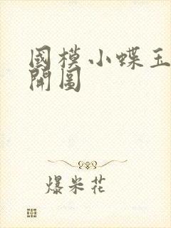 国模小蝶玉门大开图