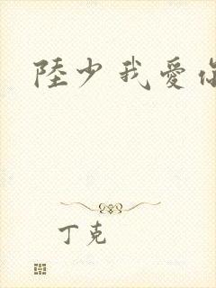 陆少 我爱你