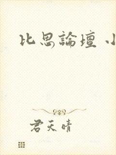 比思论坛 小说