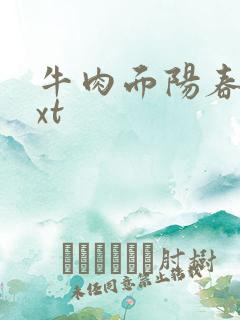 牛肉面阳春面txt