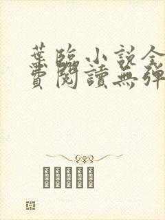 叶临小说全文免费阅读无弹窗