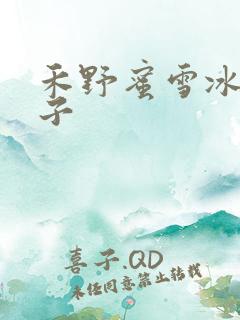 禾野蜜雪冰城本子