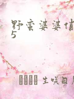 野蛮婆婆俏媳妇5