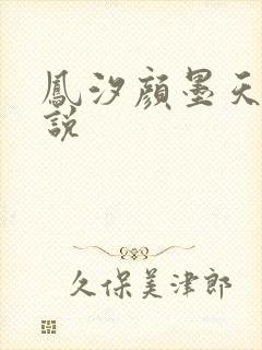 凤汐颜墨天问小说