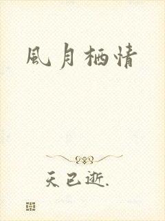 风月栖情