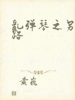 乱弹琴之另一条路