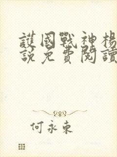 护国战神杨风小说免费阅读