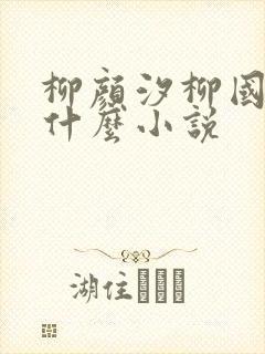 柳颜汐柳国安是什么小说