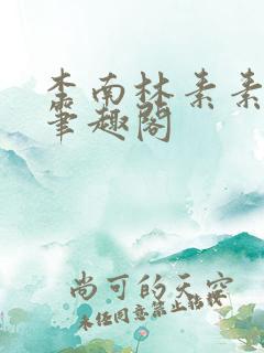 李南林素素小说笔趣阁