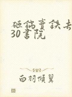 砸锅卖铁去上学30书院