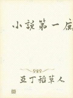 小说第一庶女
