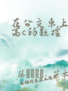 在公交车上弄到高c的数据