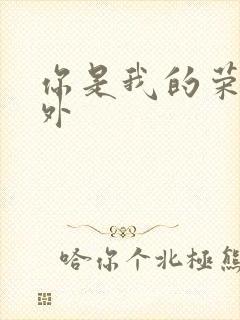 你是我的荣耀番外