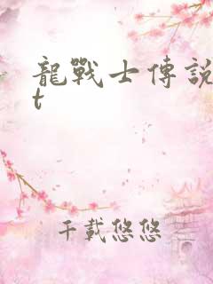 龙战士传说txt