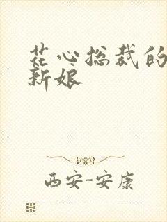 花心总裁的契约新娘