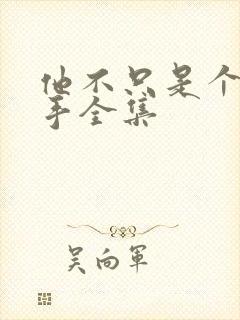 他不只是个狙击手全集