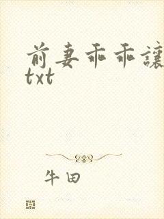 前妻乖乖让我疼txt