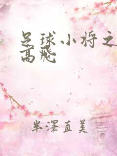 足球小将之展翅高飞