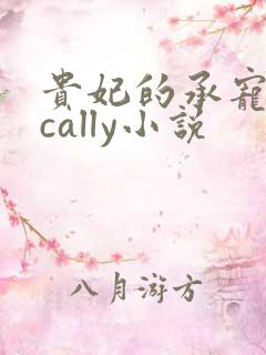 贵妃的承宠日常cally小说