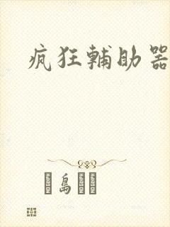 疯狂辅助器