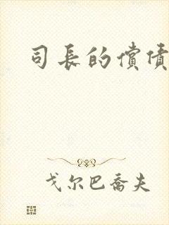 司长的偿债新娘