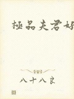 极品夫君好又多