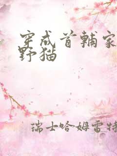 穿成首辅家的小野猫