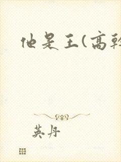 他是王(高干)