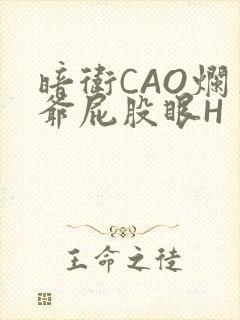 暗卫CAO烂王爷屁股眼H
