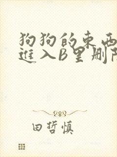 狗狗的东西直接进入B里删除