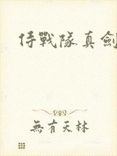 侍战队真剑者2