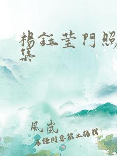 杨钰莹门照艳全集