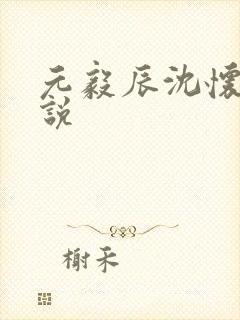 元毅辰沈怀妆小说