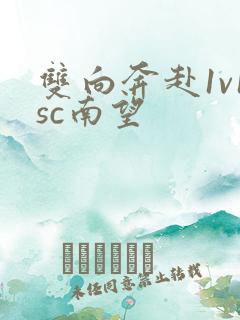 双向奔赴1v1sc南望