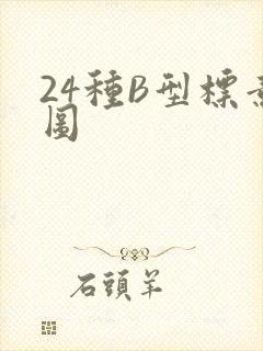24种B型标意图