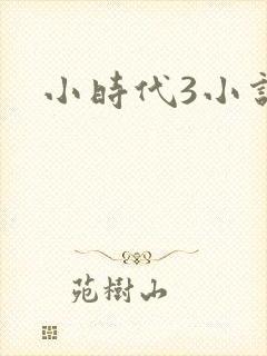 小时代3小说