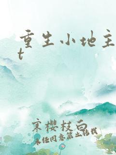 重生小地主txt