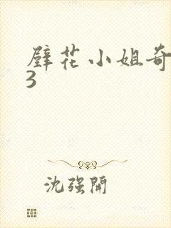 壁花小姐奇遇记3