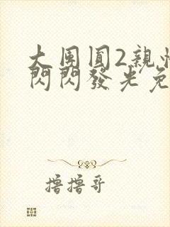 大团圆2亲情会闪闪发光免费