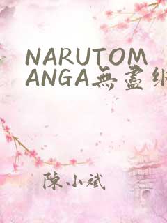 NARUTOMANGA无尽纲手