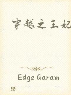 穿越之王妃有孕