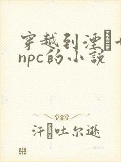 穿越到湮婸世界npc的小说