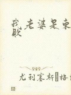 我老婆是东方不败