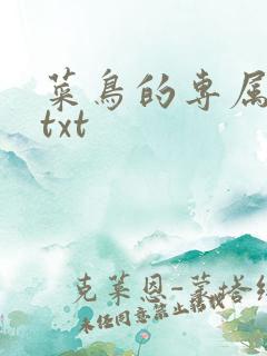 菜鸟的专属大神txt