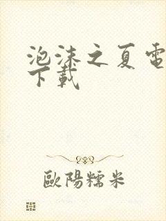 泡沫之夏电视剧下载