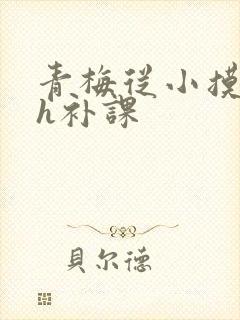 青梅从小摸到大h补课