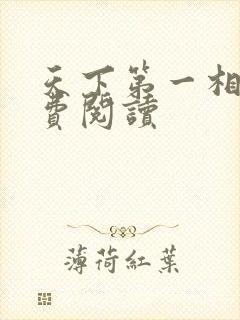 天下第一相书免费阅读