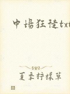 中场狂徒txt