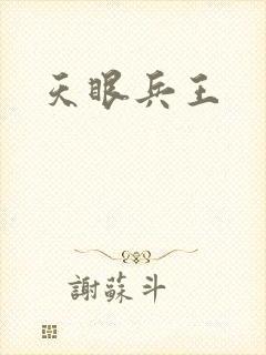 天眼兵王